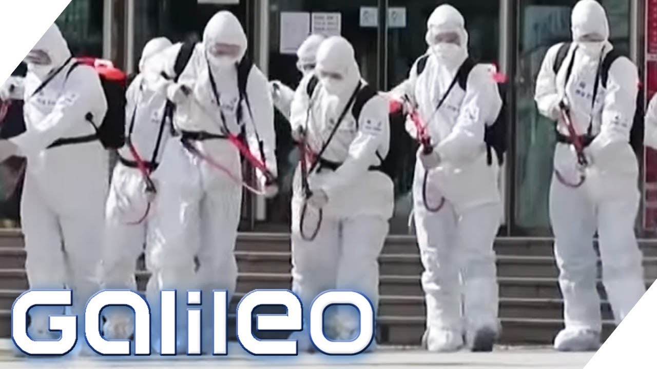 Deutsche in Corona-Isolation: Wie schützen sich Deutsche in Südkorea? | Galileo | ProSieben