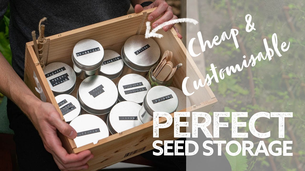 The Best Way to Store Seeds | My Perfect Cheap Seed Storage and Organisation