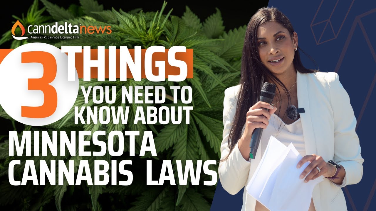 Minnesota's 2024 Cannabis Licensing Process in 3 mins