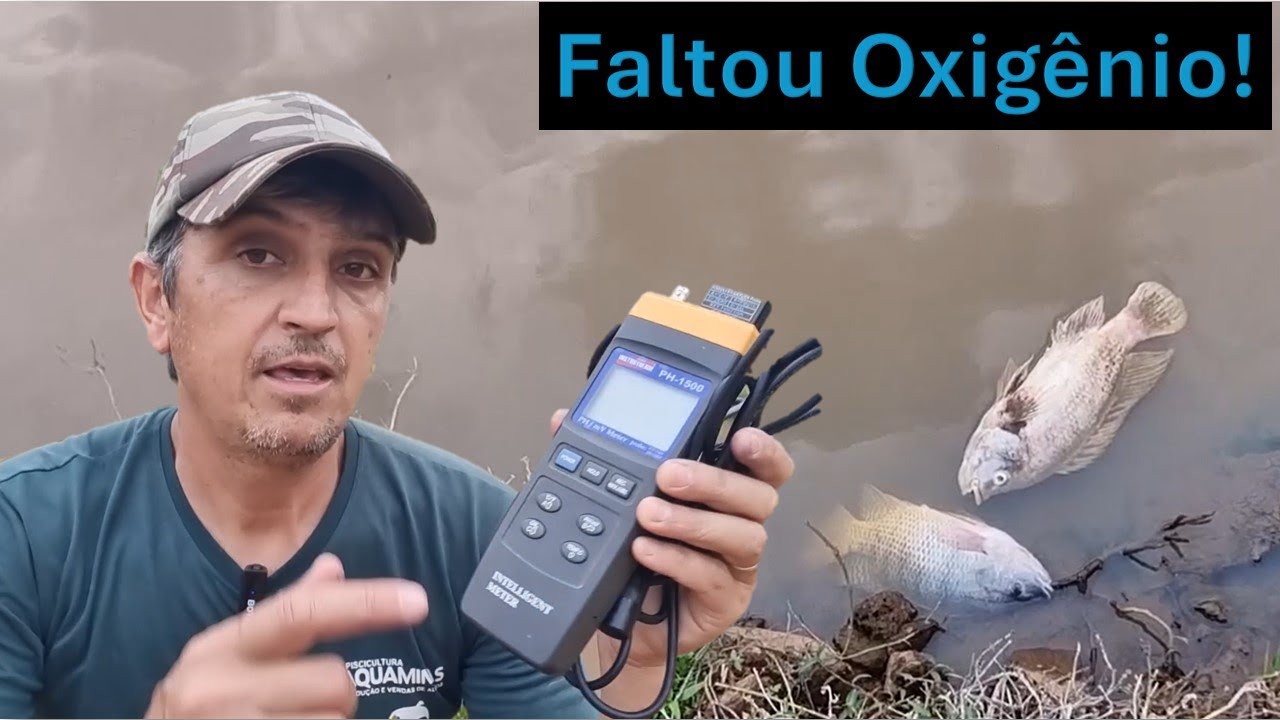 Falta de oxigênio, Lago de Tilápia!! O que fazer??