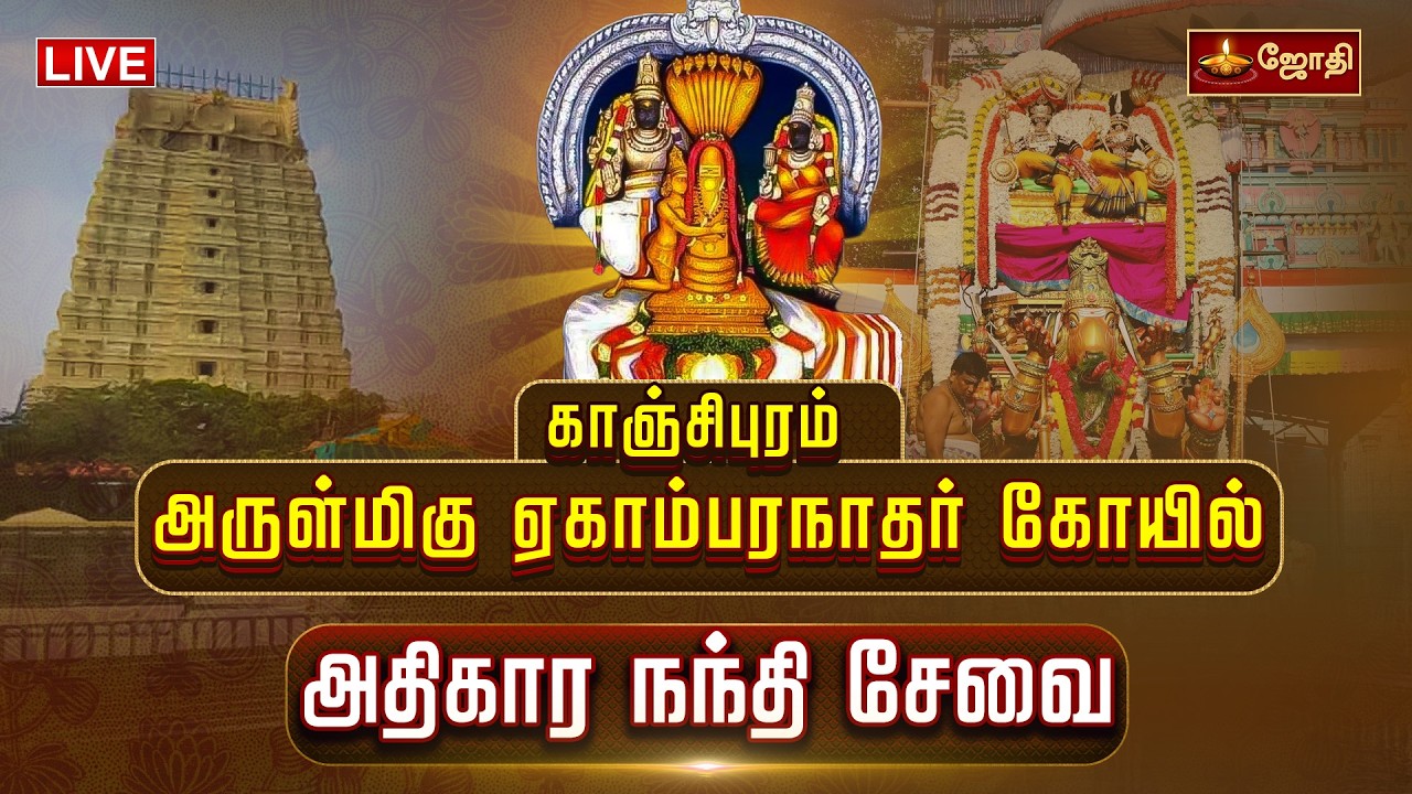 🔴LIVE: காஞ்சிபுரம் அருள்மிகு ஏகாம்பரநாதர் கோயில் அதிகார நந்தி சேவை | Ekambaranathar Nandhi sevai