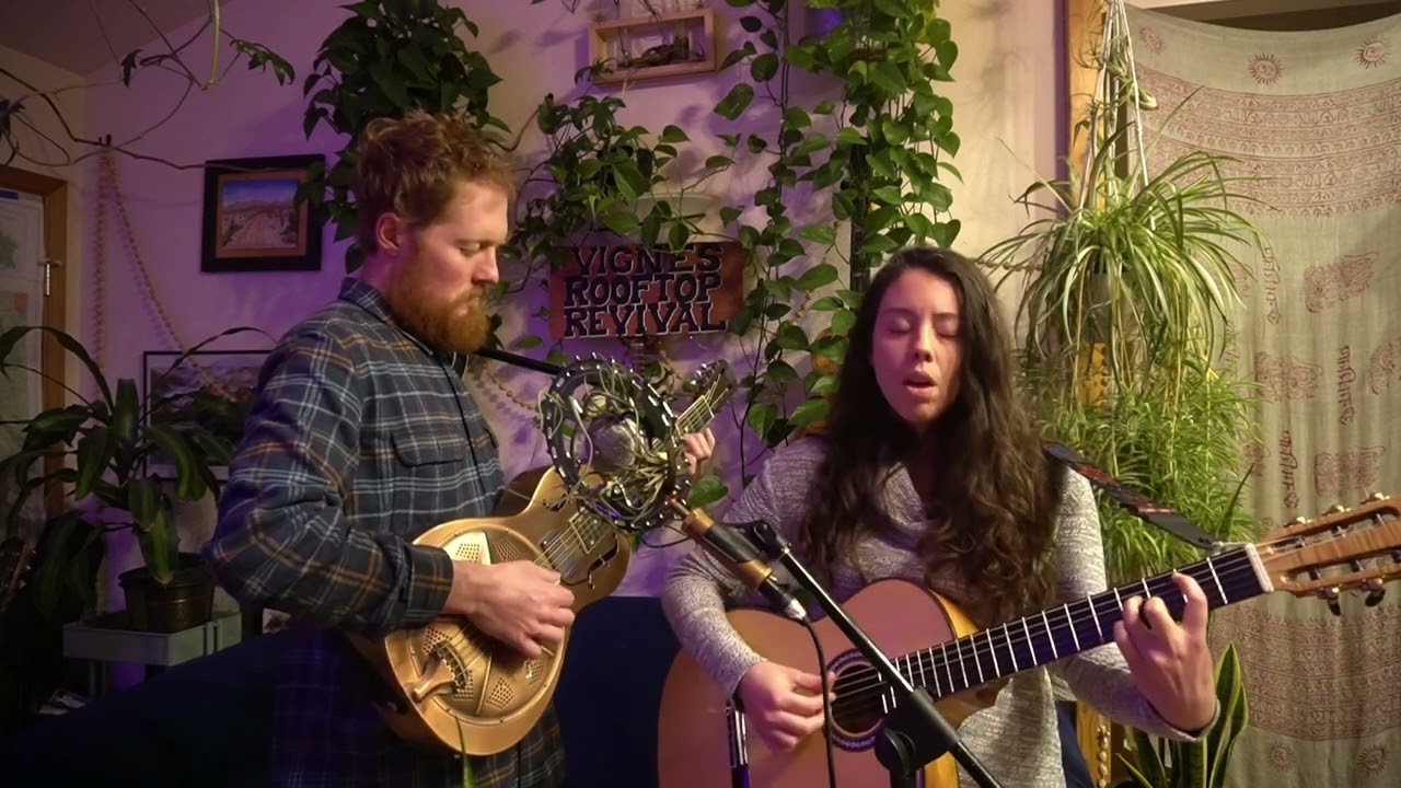 Magnetic Vines - Sentinel Pine (live)