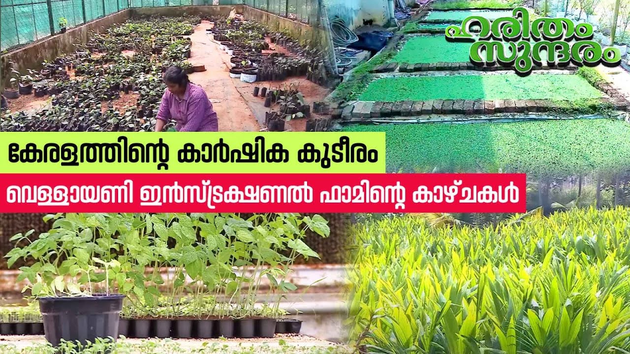 Highlights of Instructional Farm College of Agriculture, Vellayani | Haritham Sundaram EP 422