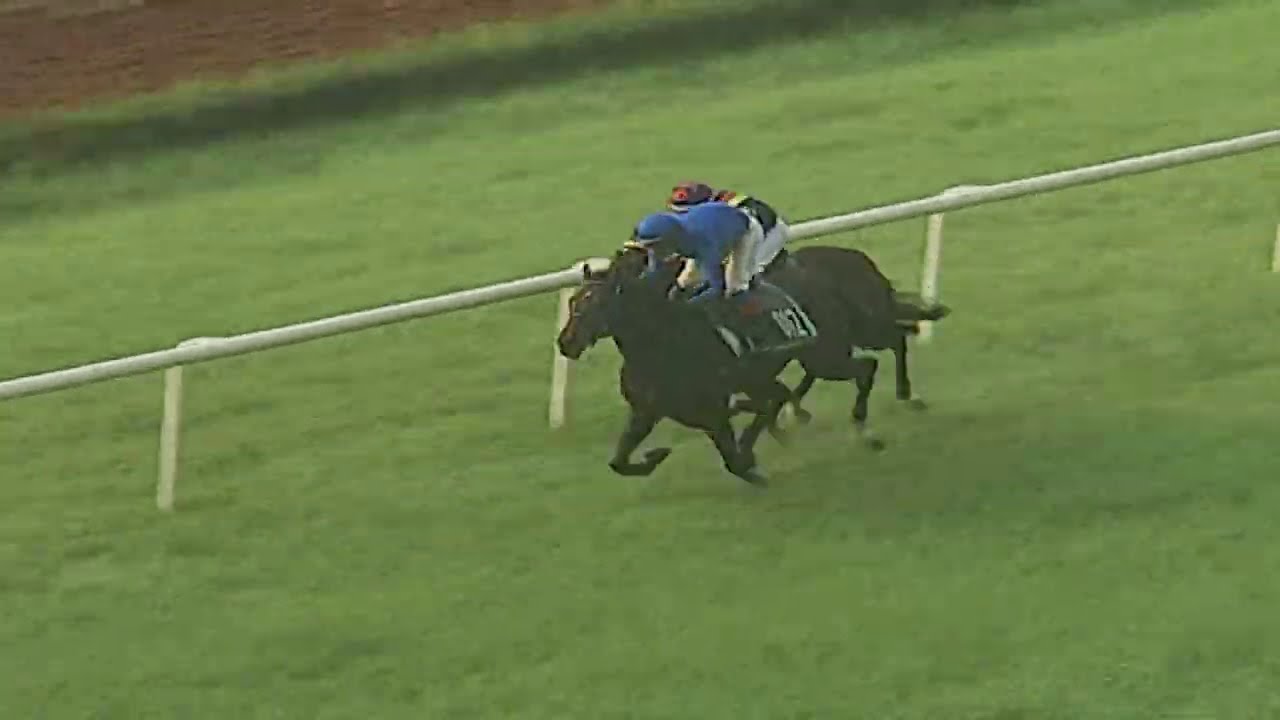 Cavallo Veloce with C A Brisson wins the Mock Race 1 on 26th October 2020