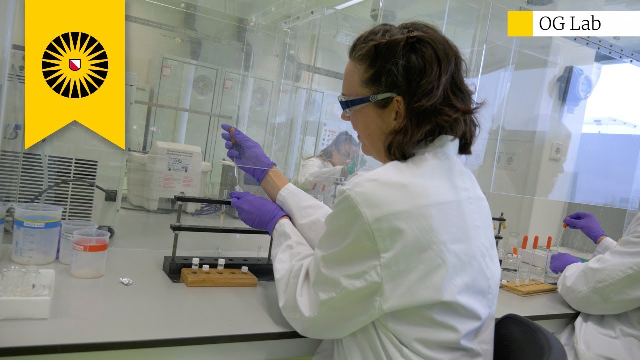 Organic Geochemistry Lab - Past and present carbon cycle dynamics related to climate changes