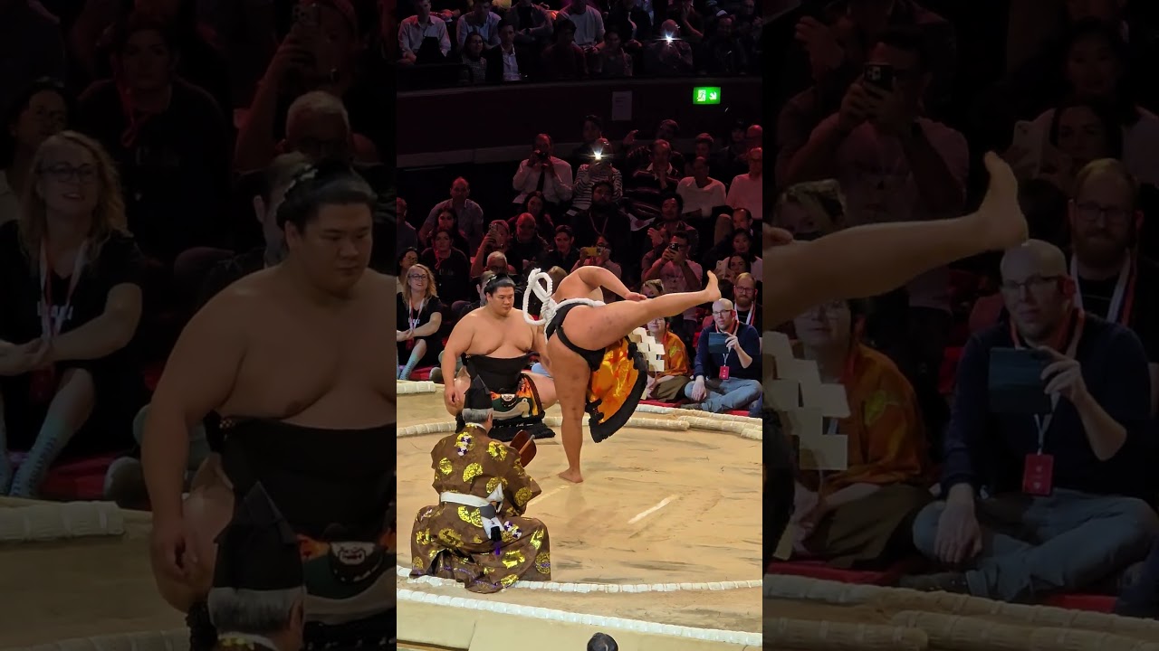 15 Oct 2025, day 1 London sumo, Yokozuna Hoshoryu ring entering ceremony