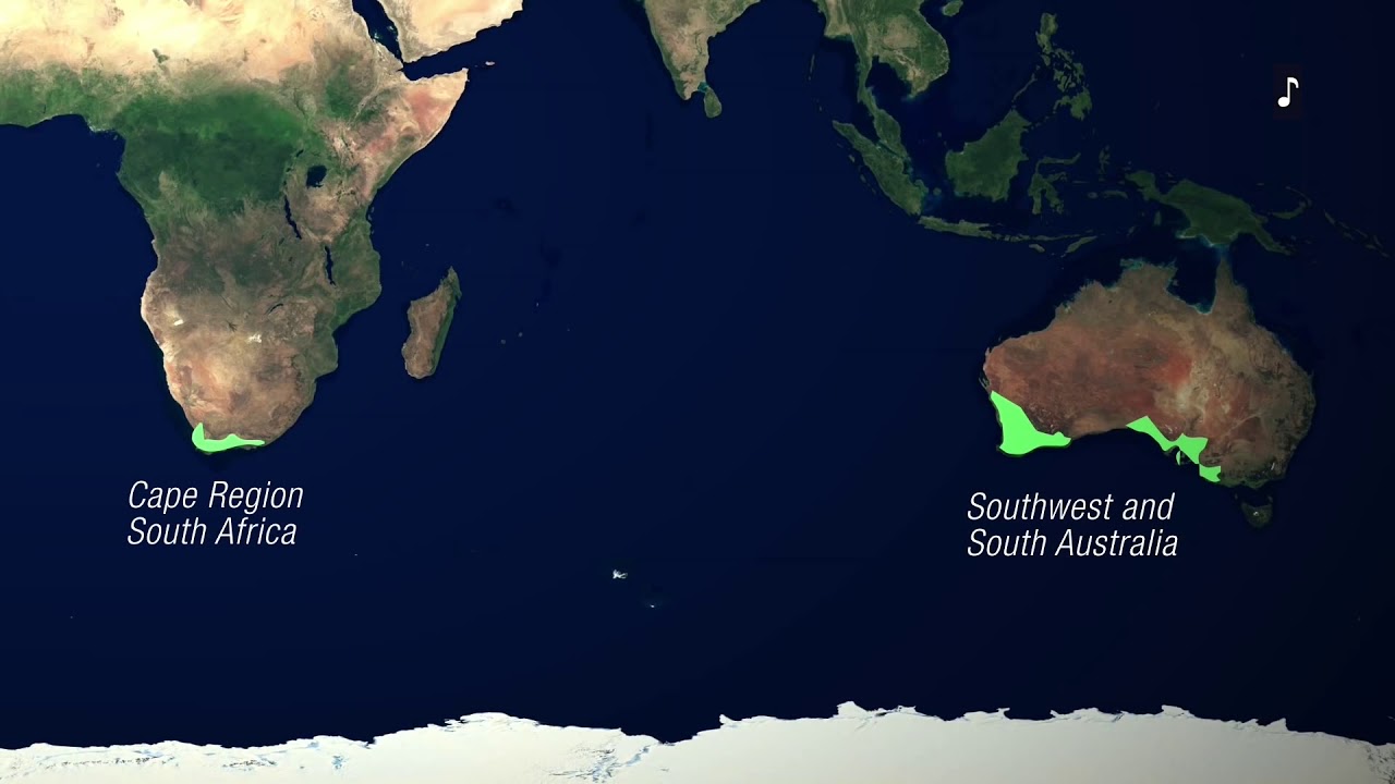 Lands of Two Seasons--The World's Mediterranean-Climate Ecosystems (Accessible Preview)