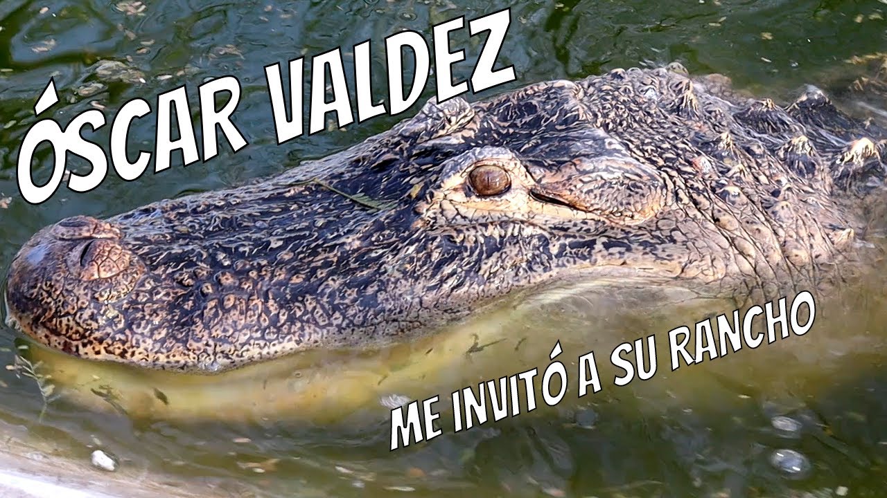 Reptileando con Óscar Valdez