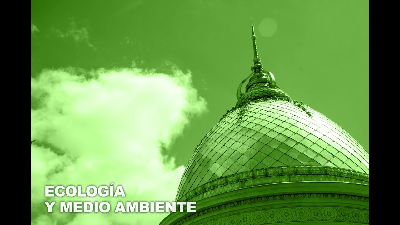 Reunión de Comisión de Ecología y Ambiente. 02/03/2026