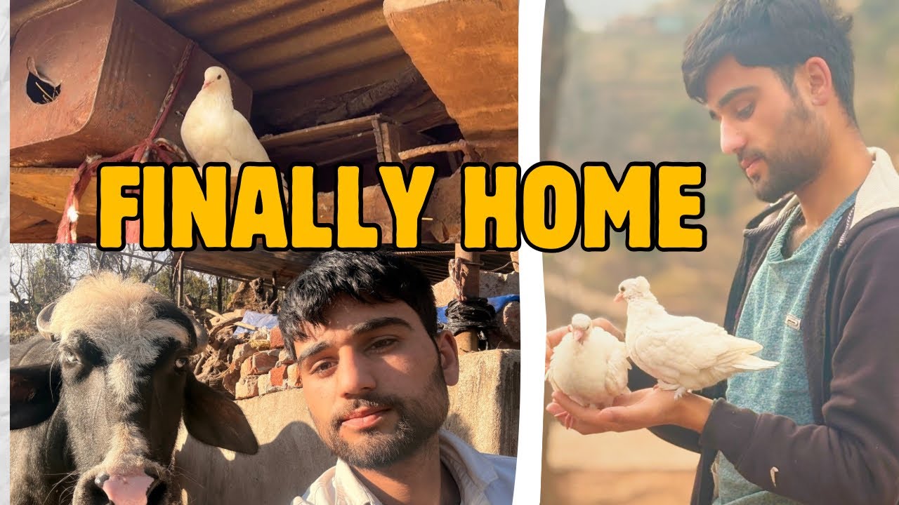 MBBS Hostel Se Ghar Tak | A Calm Day in Rajouri 🌿 | Cricket, Birds & Real Peace