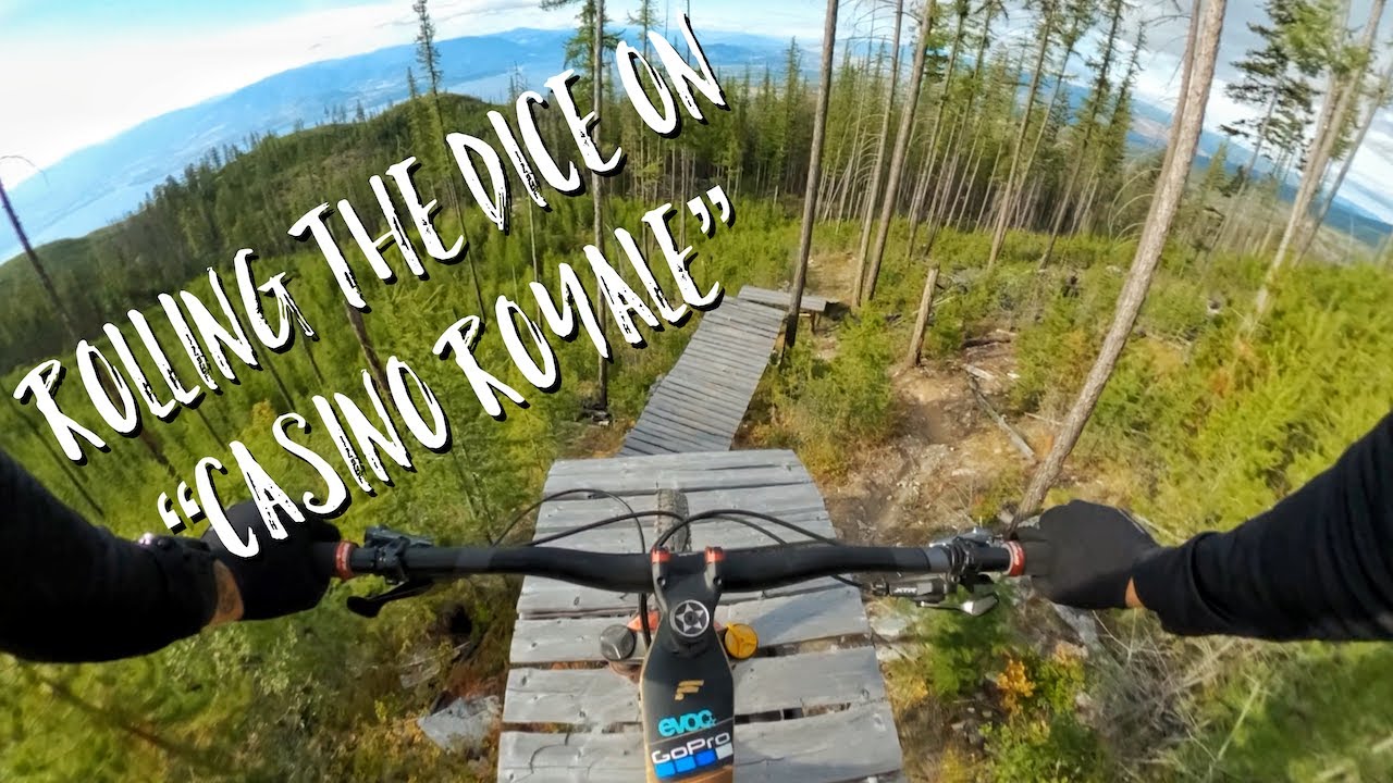 Rolling the Dice on 