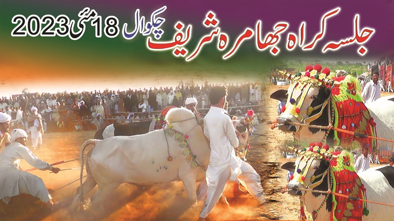 jalsa karah Jhamra Sharif (chakwal) 18 May 2023 By Saraiki Chakwal
