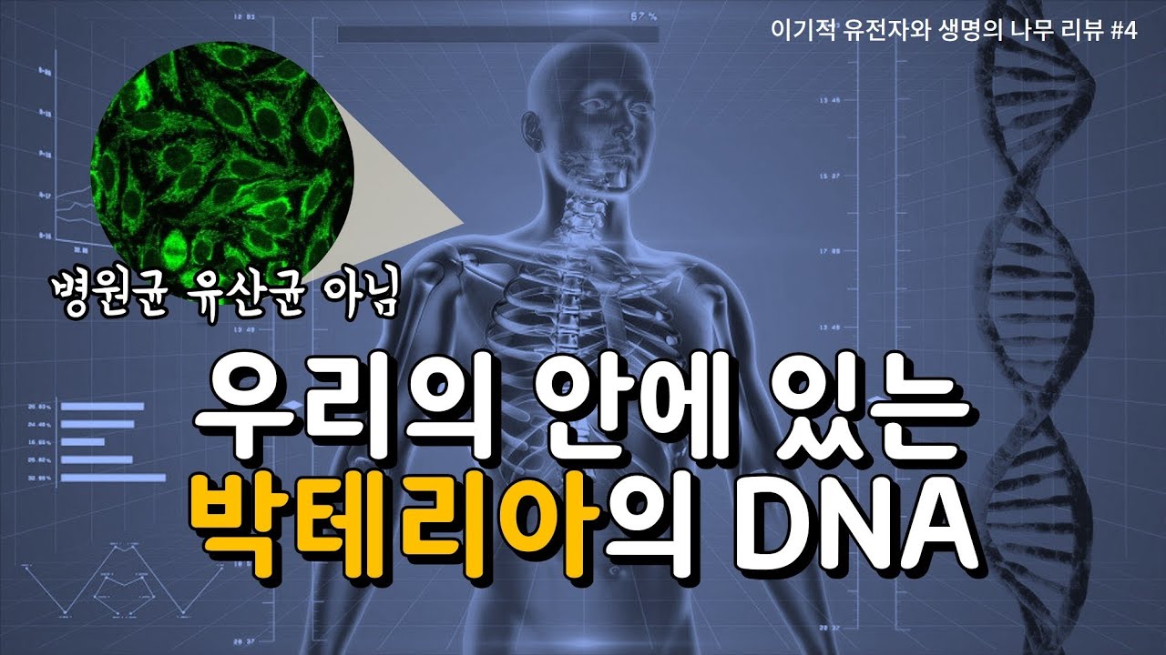 박테리아를 품은 아르케이아, 다세포 진핵생물로 진화하다 (이기적 유전자와 생명의 나무 #4)