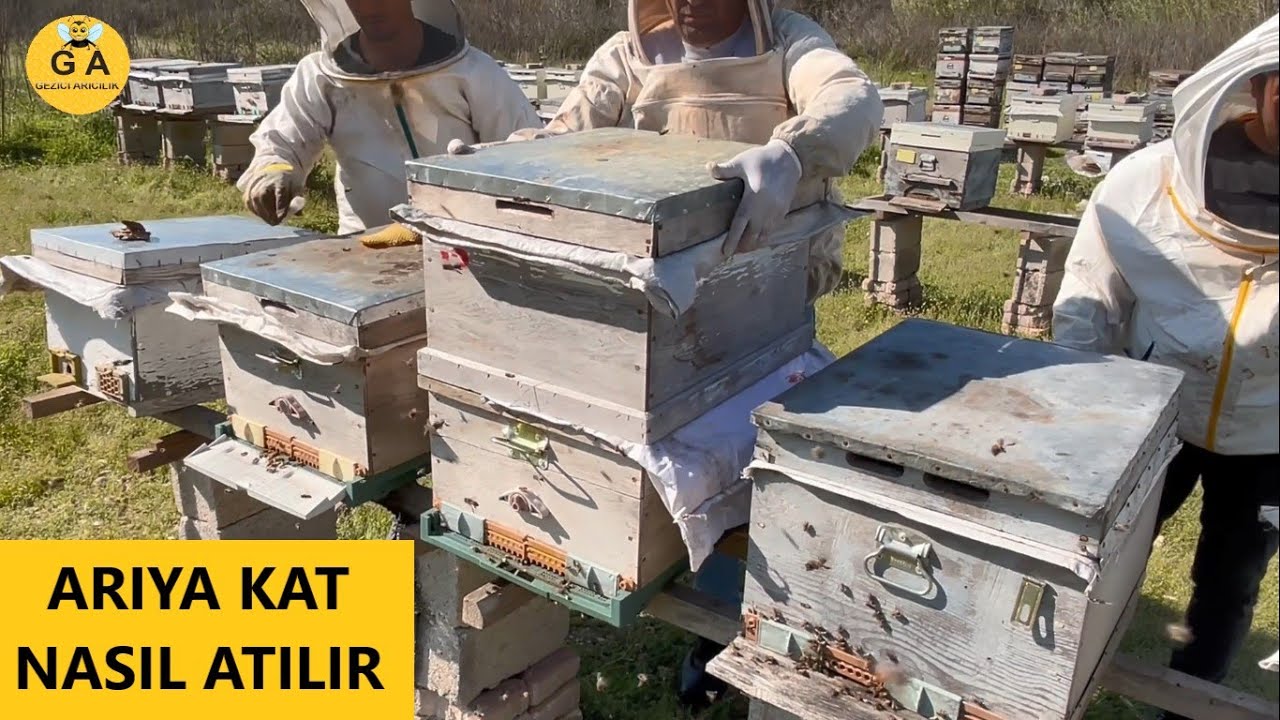 Arıya KAT atma nasıl yapılır. en basit kat atma şekli. Beekeeping. arıcılık.