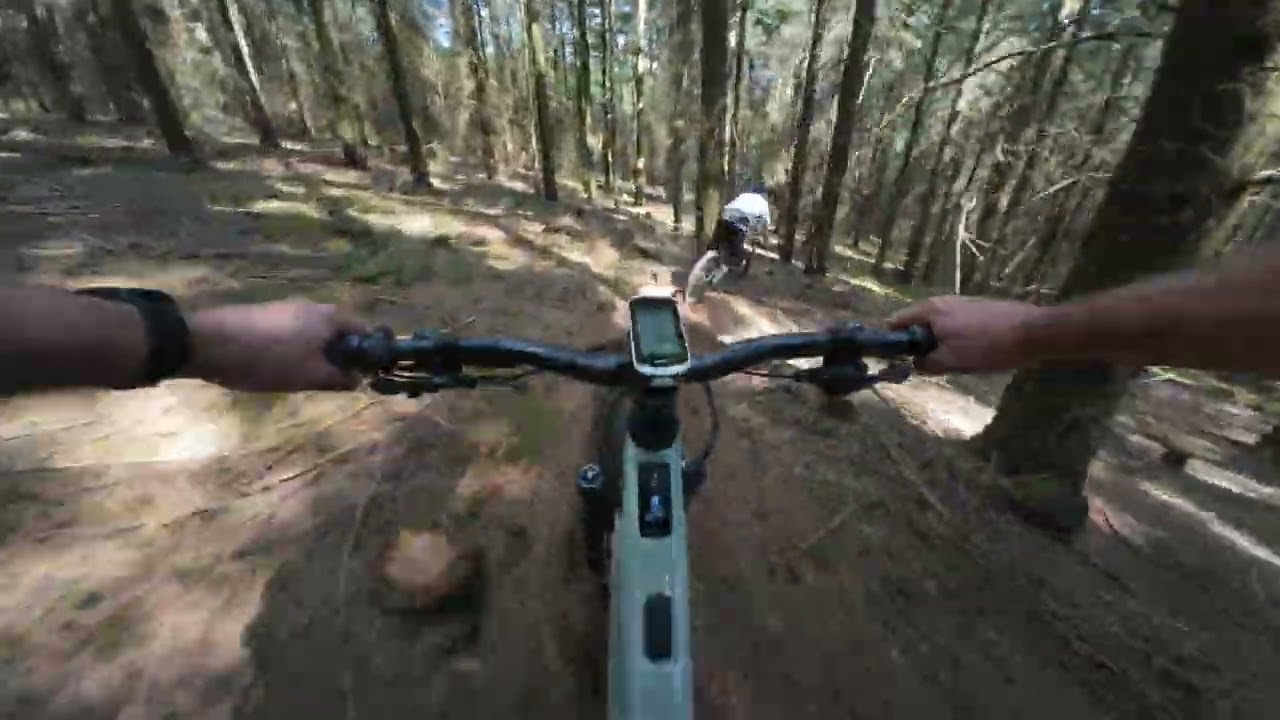 Downhill Hungerbrunnen und Langer Stein Trail