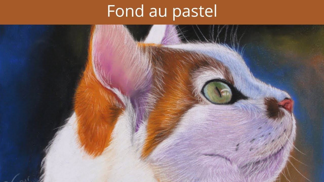 Comment peindre un fond aux pastels secs ( cours )