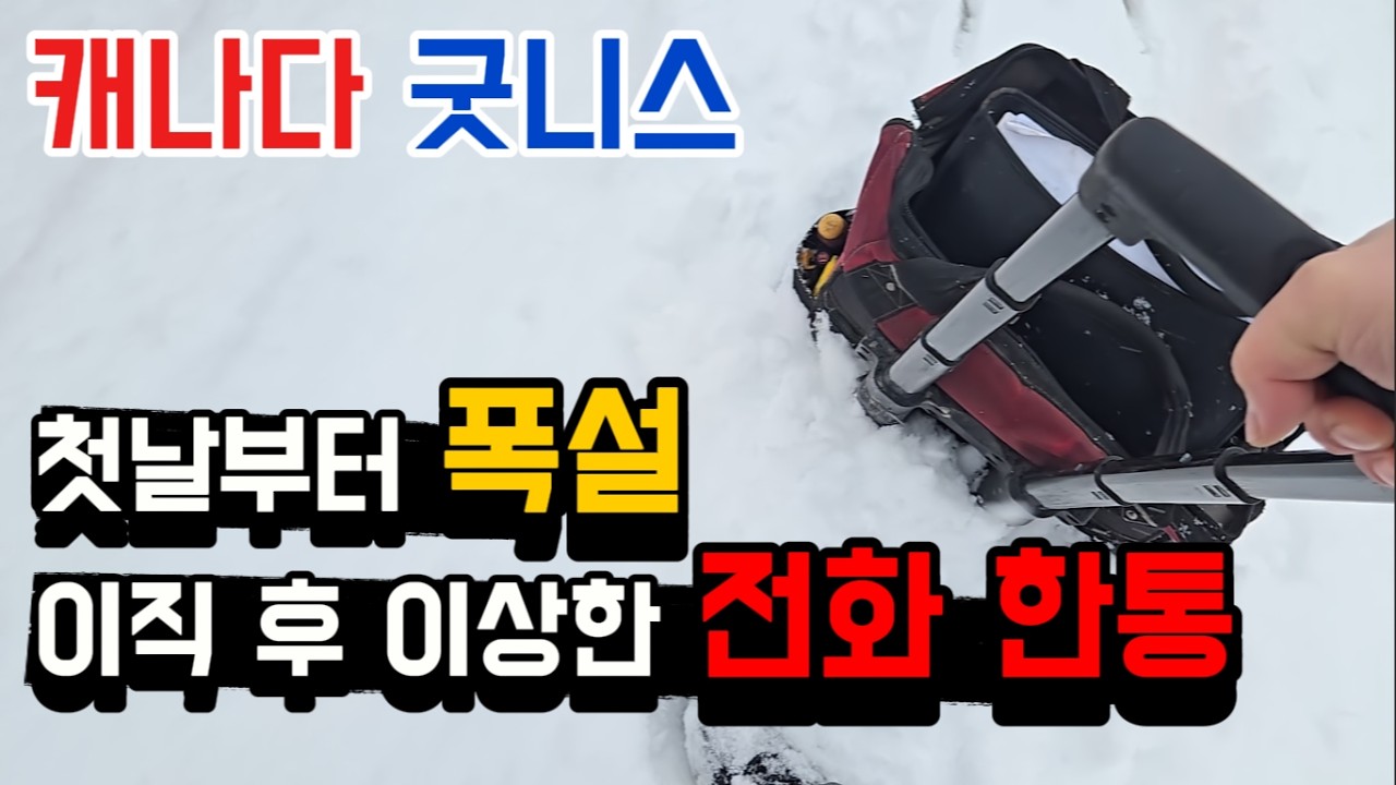 다시 돌아온 회사, 그리고 이상한 전화 한통이 왔습니다.  첫 근무부터 폭설이라니.... #캐나다 #폭설 #이직