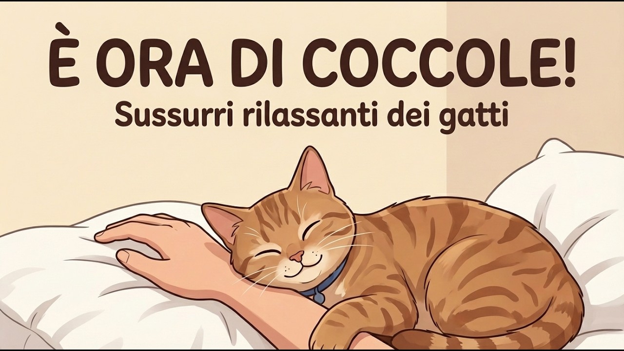 6 Modi Nascosti in Cui Stai Ferendo il Tuo Gatto Senza Rendertene Conto