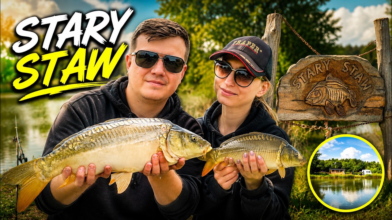 Stary staw | method feeder | branie na żywo | burza