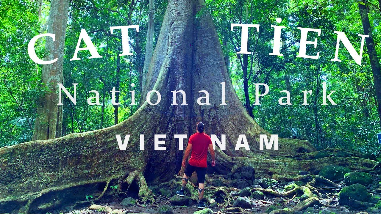 Cát Tiên National Park, Vietnam's Hidden Gems! | Travel Adventure!