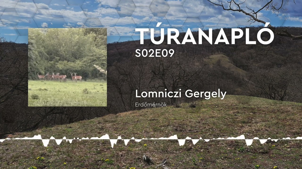 Túranapló S02E09: Lomniczi Gergely, erdőmérnök