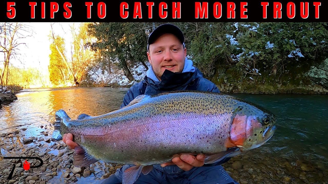 5 Tips To Catch More Trout