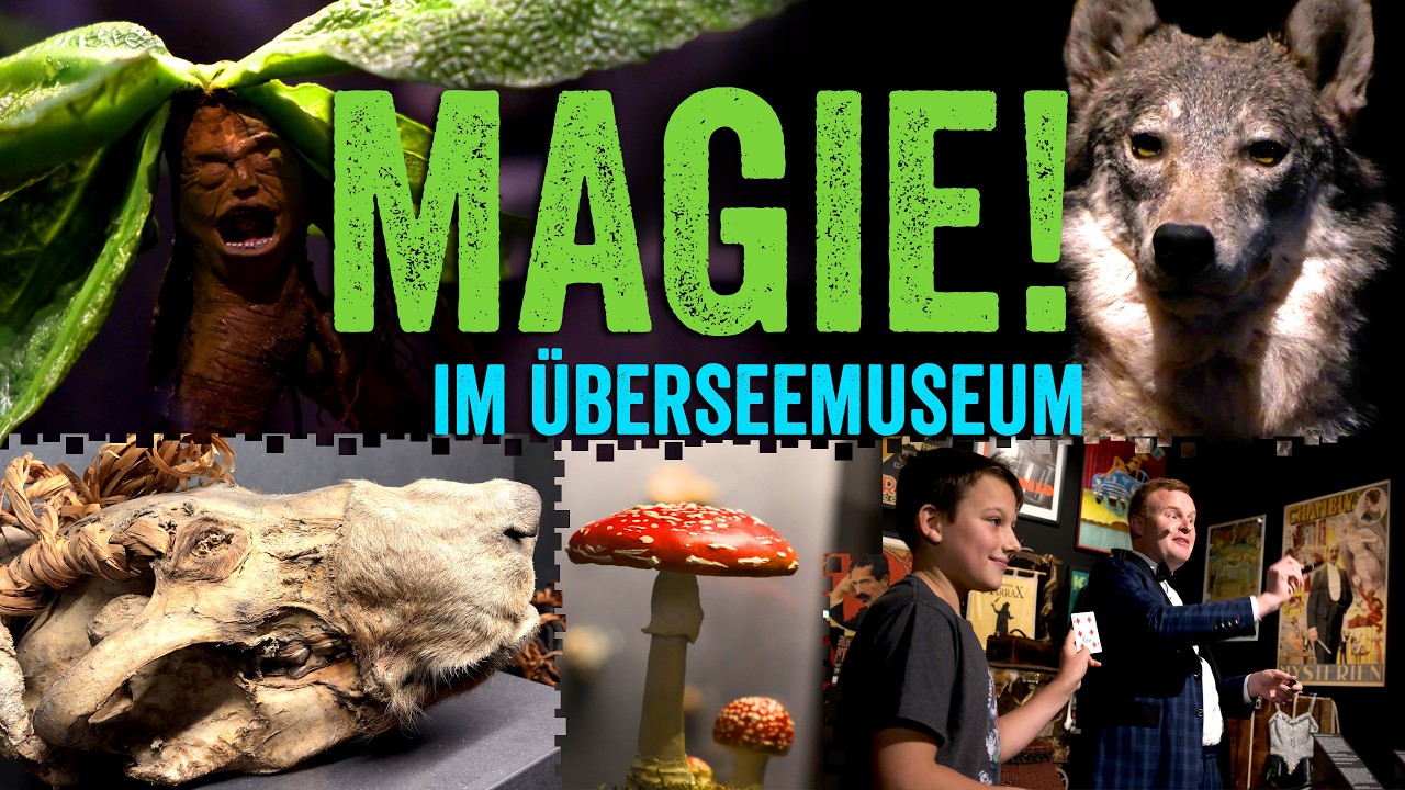 MAGIE hautnah &ndash; Zaubertricks & Geheimnisse im &Uuml;bersee-Museum Bremen |&nbsp;Besuch Ausstellung |&nbsp;Zauberei