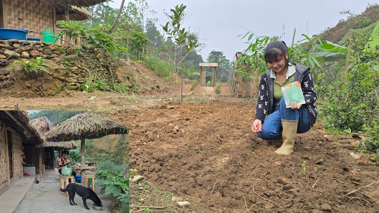 cooking and gardening | Tiểu Liễu-17 year old