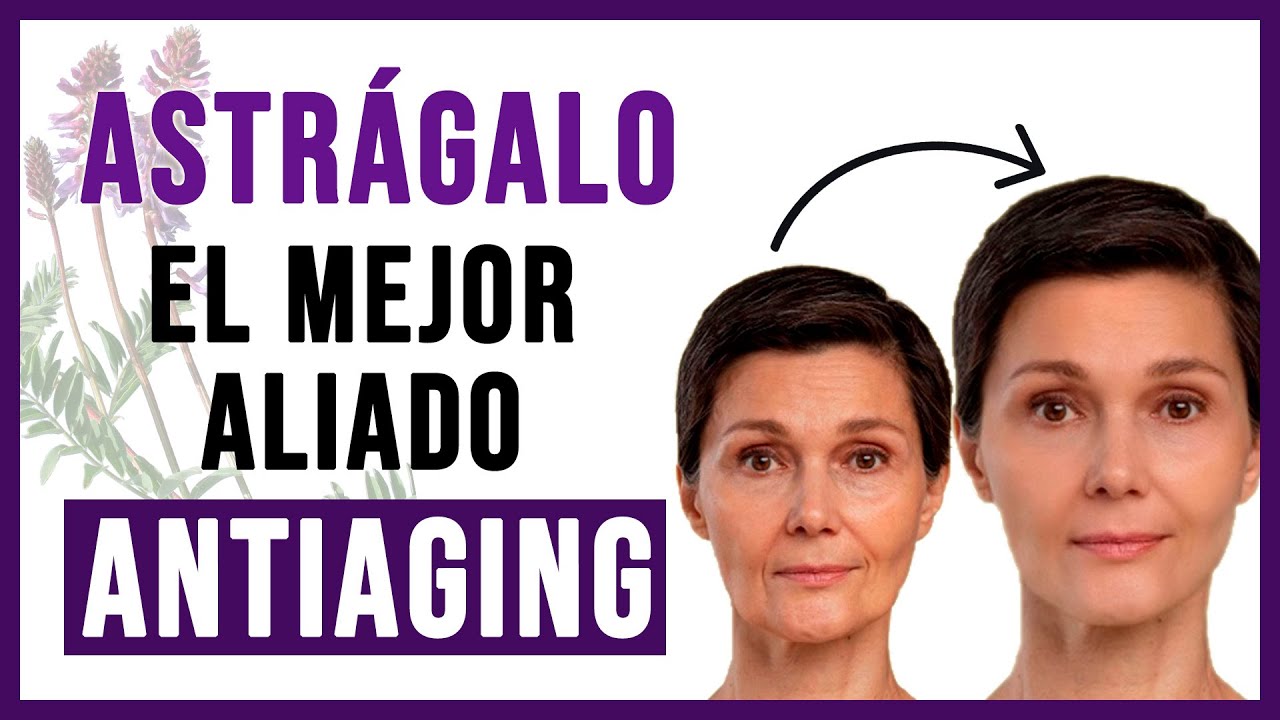 🙅🏽‍♀️ COMBATE el ENVEJECIMIENTO Celular con el Astrágalo🌿  [La PLANTA de la LONGEVIDAD]