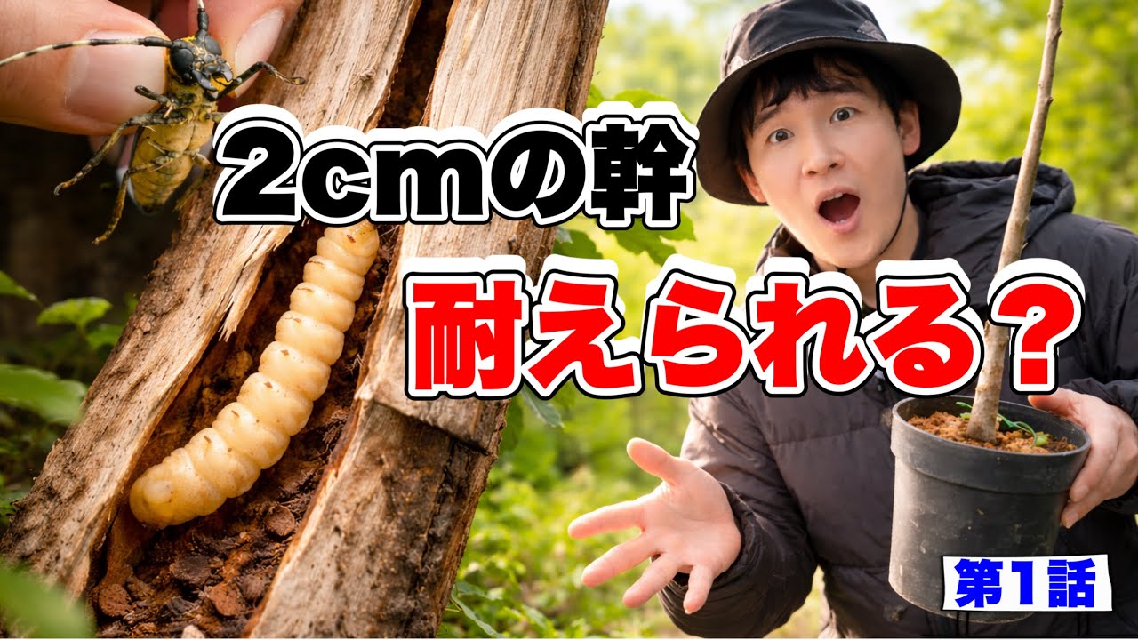 2cmの幹にカミキリ侵入…このイチジク、耐えられるのか？【第1話】