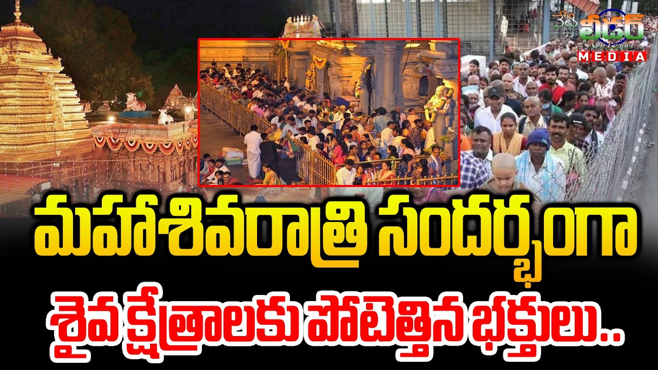 మహా శివరాత్రి సందర్భంగా శైవక్షేత్రాలకు పోటెత్తిన భక్తులు | Devotees Flock To Shaivite Temples | NETI