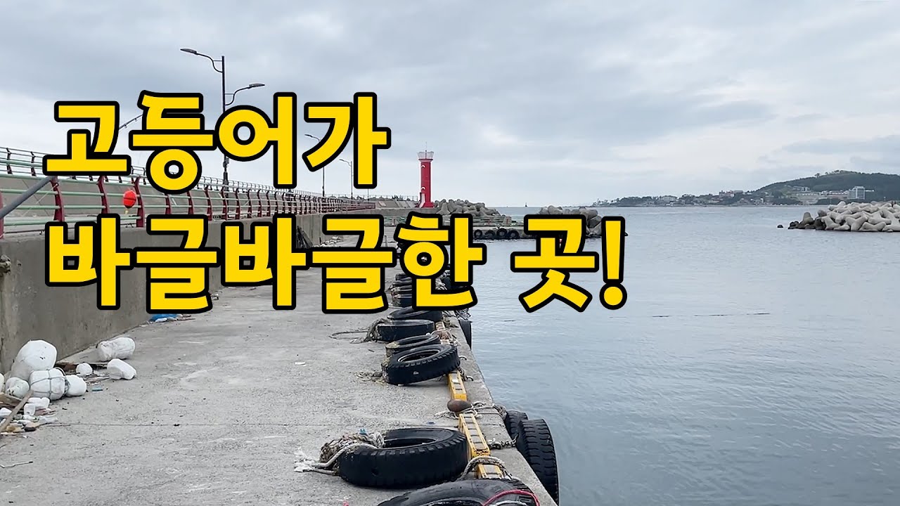 동해 고등어 낚시, 발판 좋은 느나 포인트!