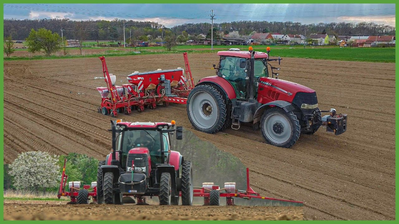 🌱 Jarní Setí Kukuřice 2022 🔴Case IH Puma 185 CVX & 165 CVX | ZD Unčovice