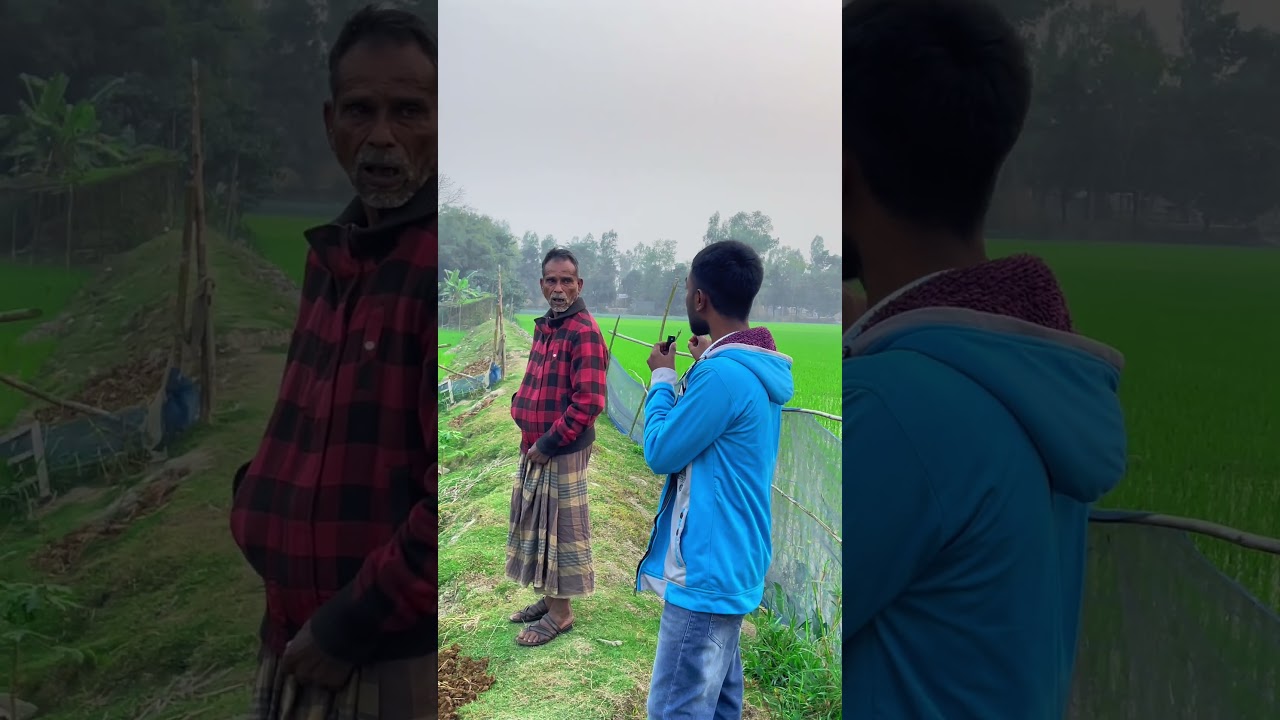 National election awamileague controversy