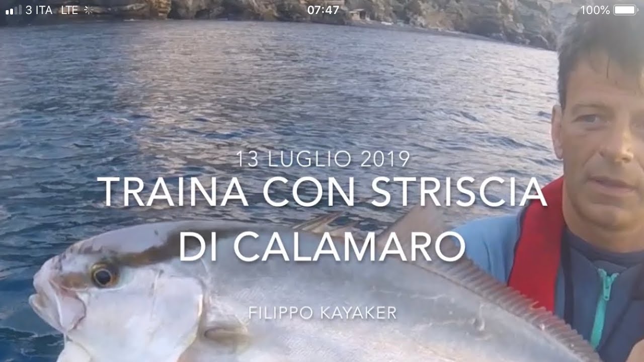 traina con striscia di calamaro