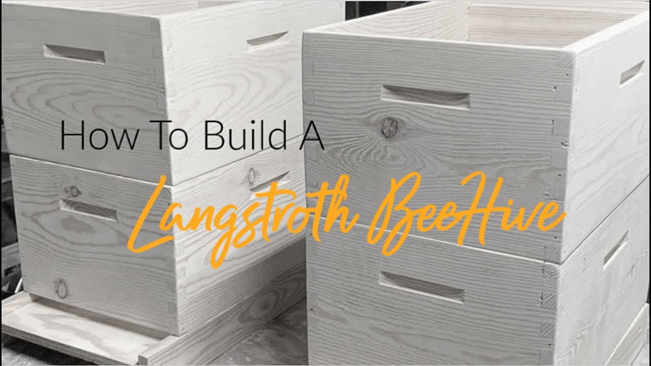 How to Build a Langstroth Hive - 8 Frame Bee Hive