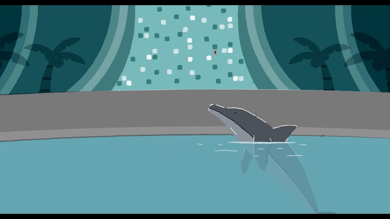 Alone for the holidays: Dolphins suffering in captivity