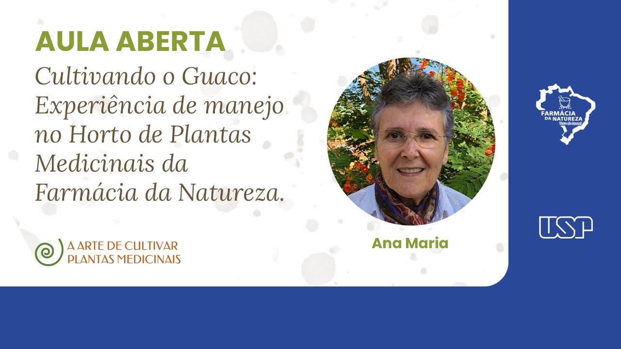 Cultivando o Guaco -  experiencia de manejo no Horto de Plantas Medicinais da Farmácia da Natureza