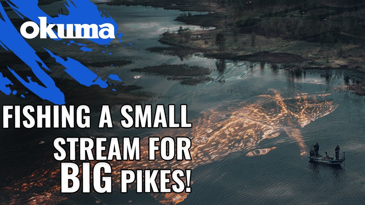 Fishing a small stream for BIG PIKES!