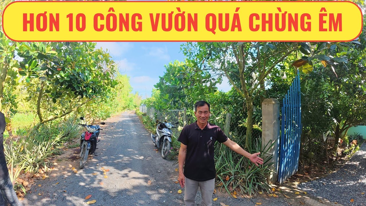 Hơn 10 công vườn cây trái sum suê quá êm | Nhà Đất Miền Tây