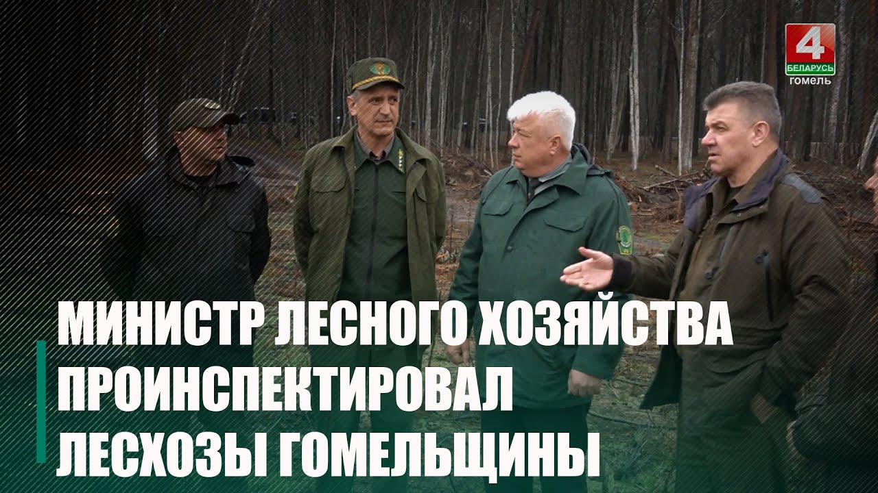 С рабочим визитом министр лесного хозяйства посетил Речицкий район