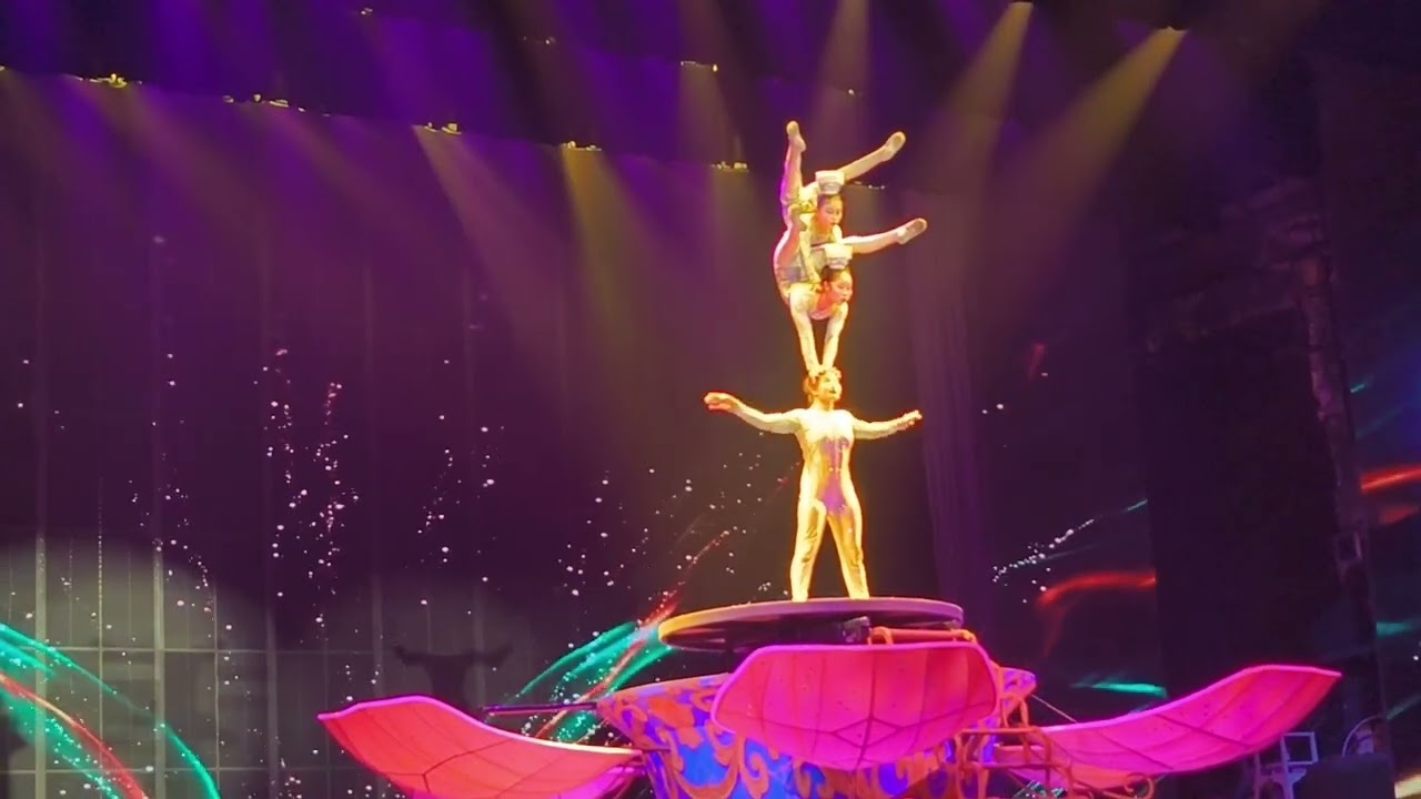 Happy Chinese New Year 🎆🐲 | Acrobatic Show 🤸‍♂️ | Beijing | China 🇨🇳  #acrobaticshow #chinesenewyear