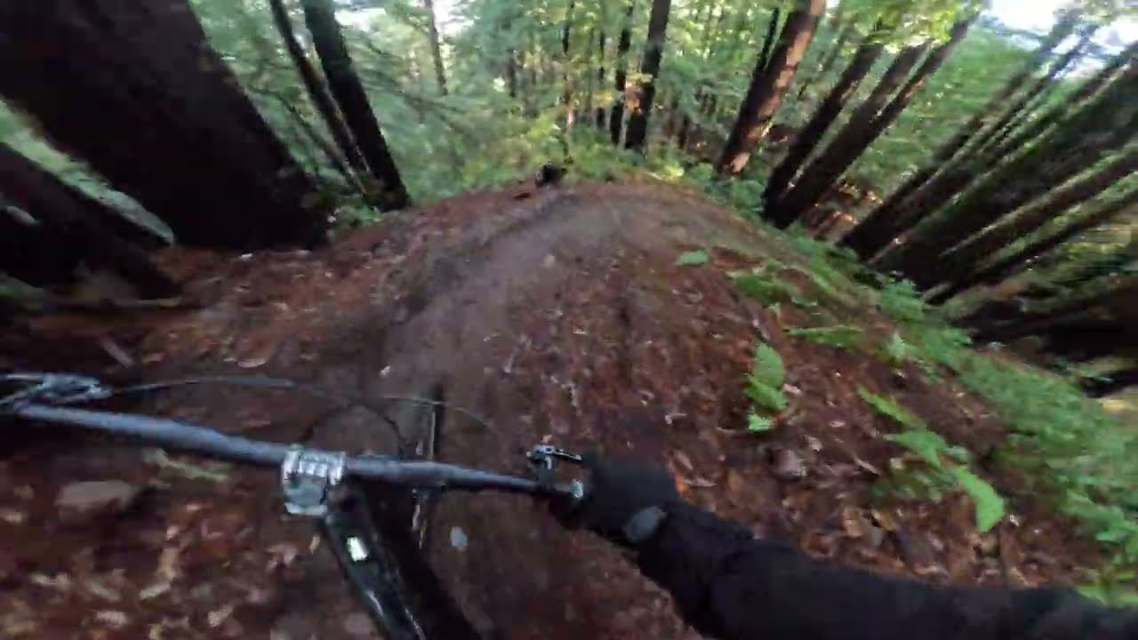 UCSC MTB | DB to deli meat | Turbo Levo | 12.15.24