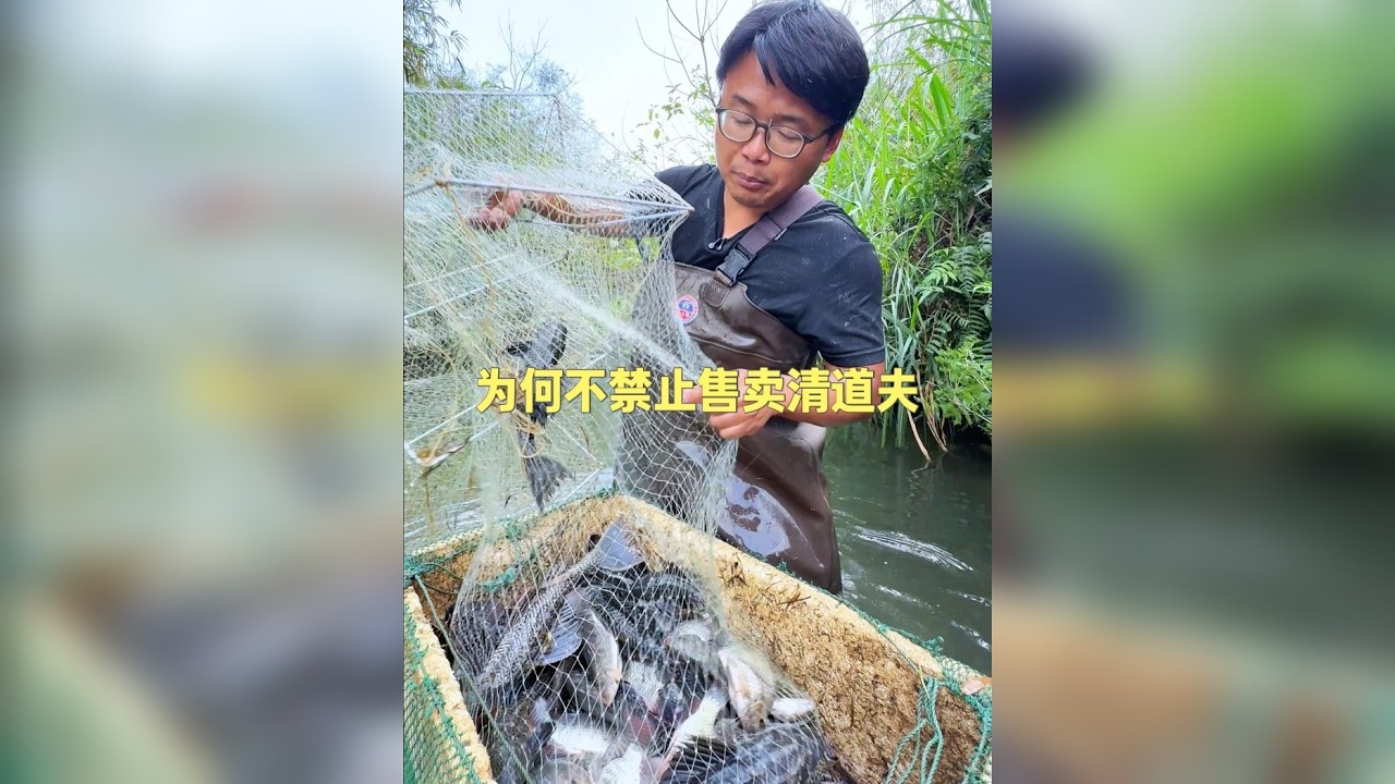 清道夫在野外如此泛滥。为何网上还有人卖？