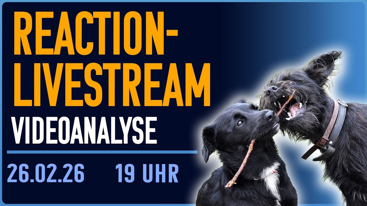 Verhaltensanalyse live im Stream