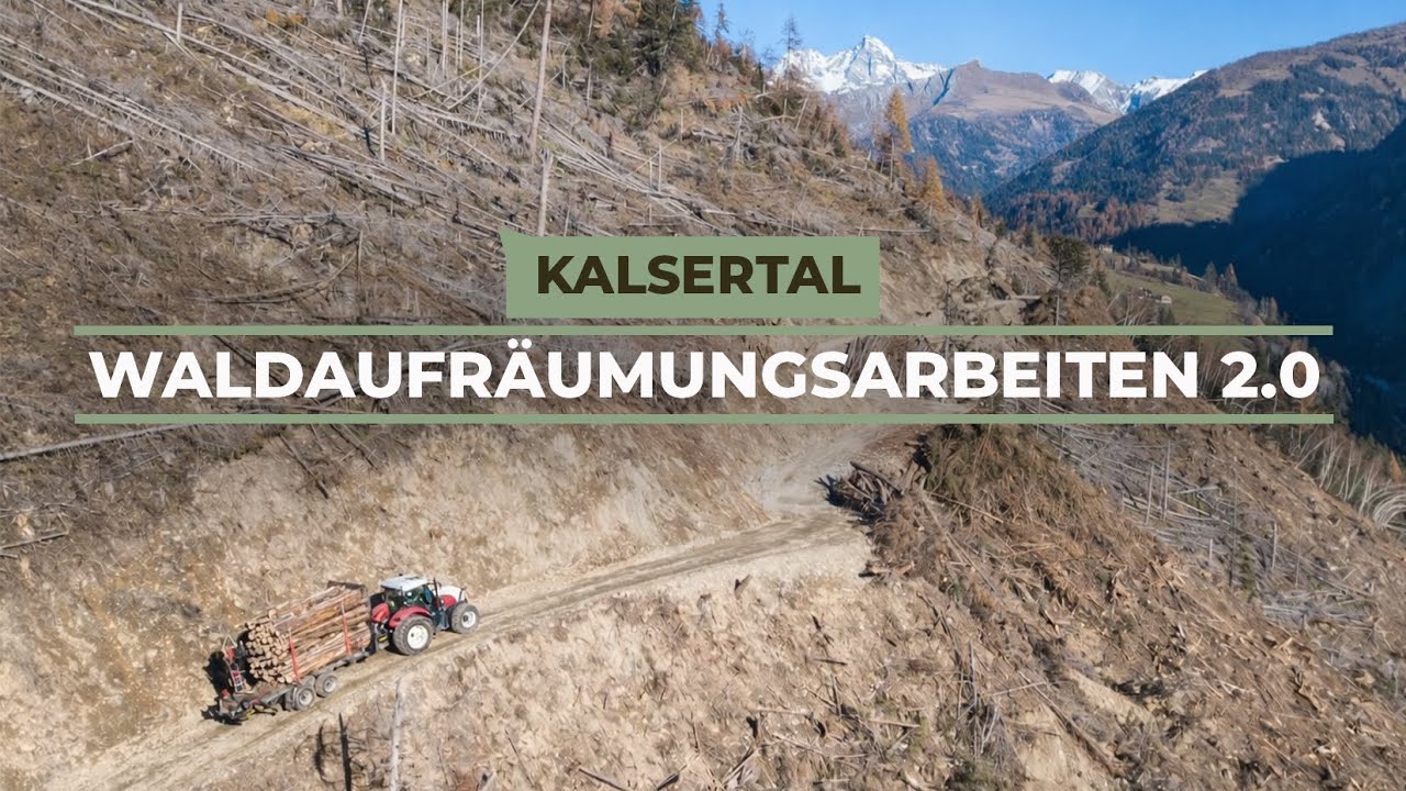 Waldaufräumungsarbeiten im Kalsertal 2.0