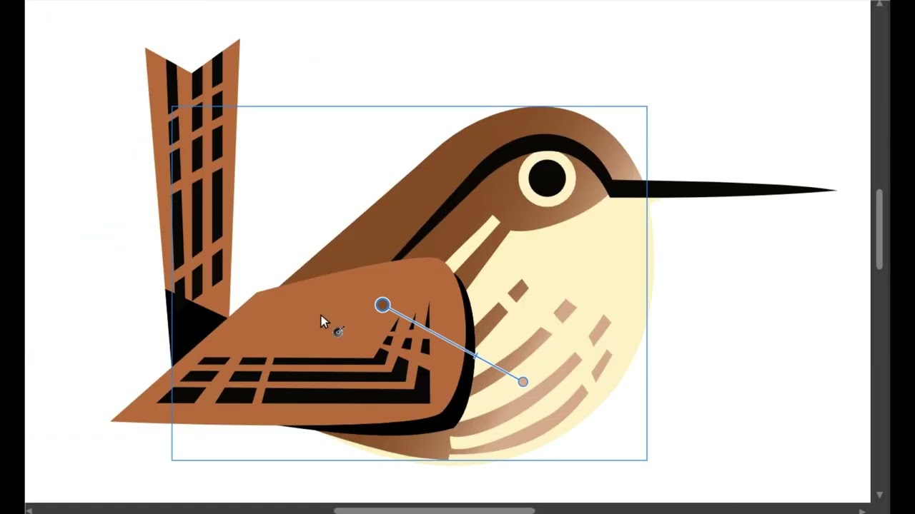 Timelapse Vector Wren