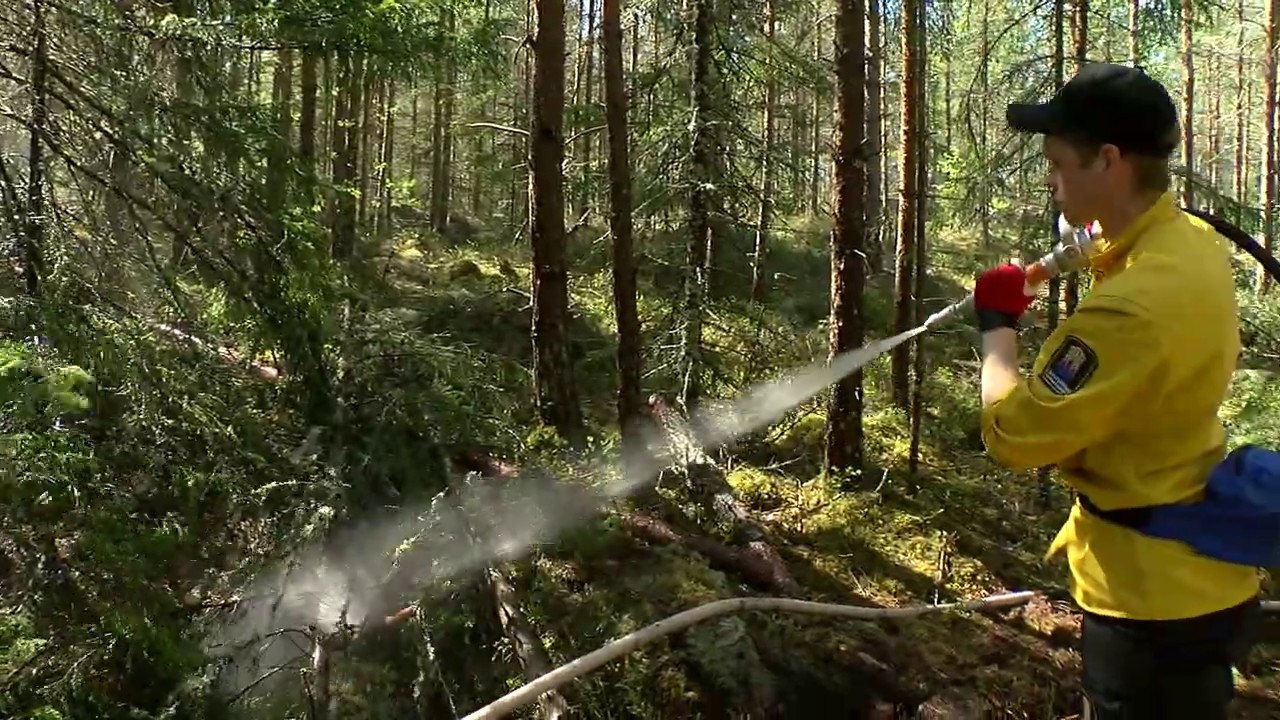 Kontrollerad skogsbrand - V&auml;stmanlands Television