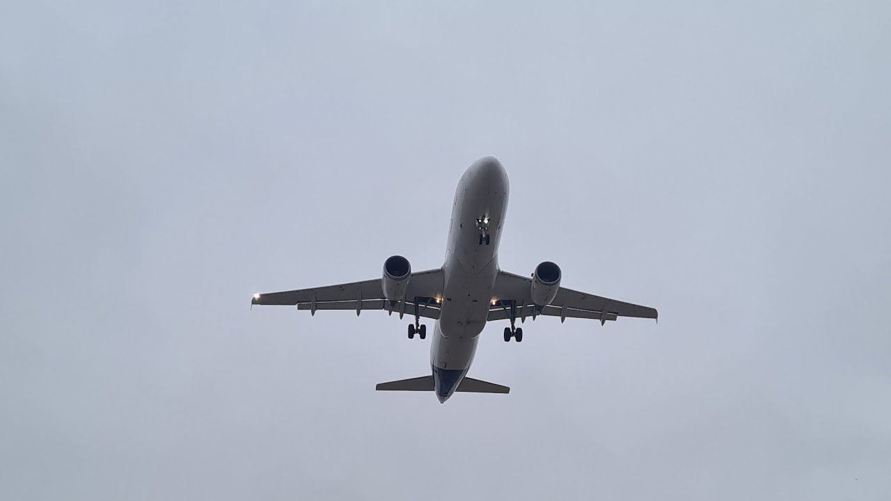 ✈️ Handylive Frankfurt Airport #d98flyer #frankfurtairport #planespotting