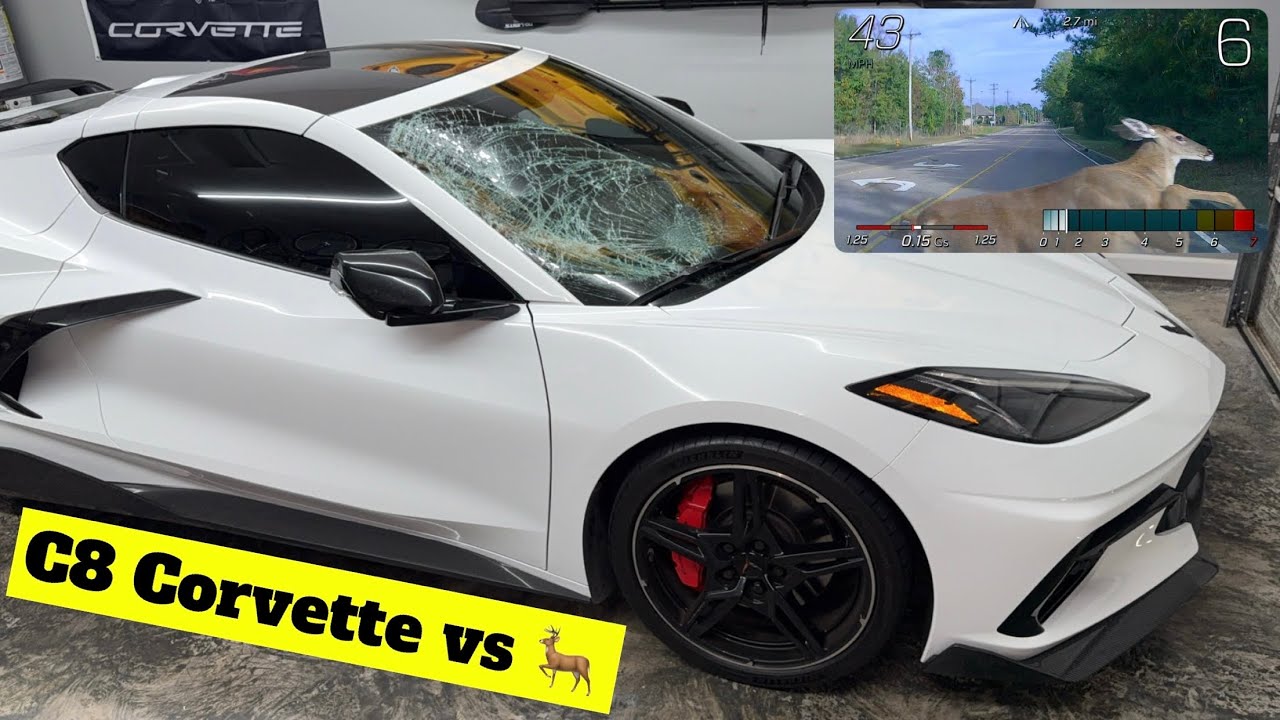 ✅Got Hit by a Deer Caught Video on the PDR (Performance Data Recorder) | Aftermath of the Accident